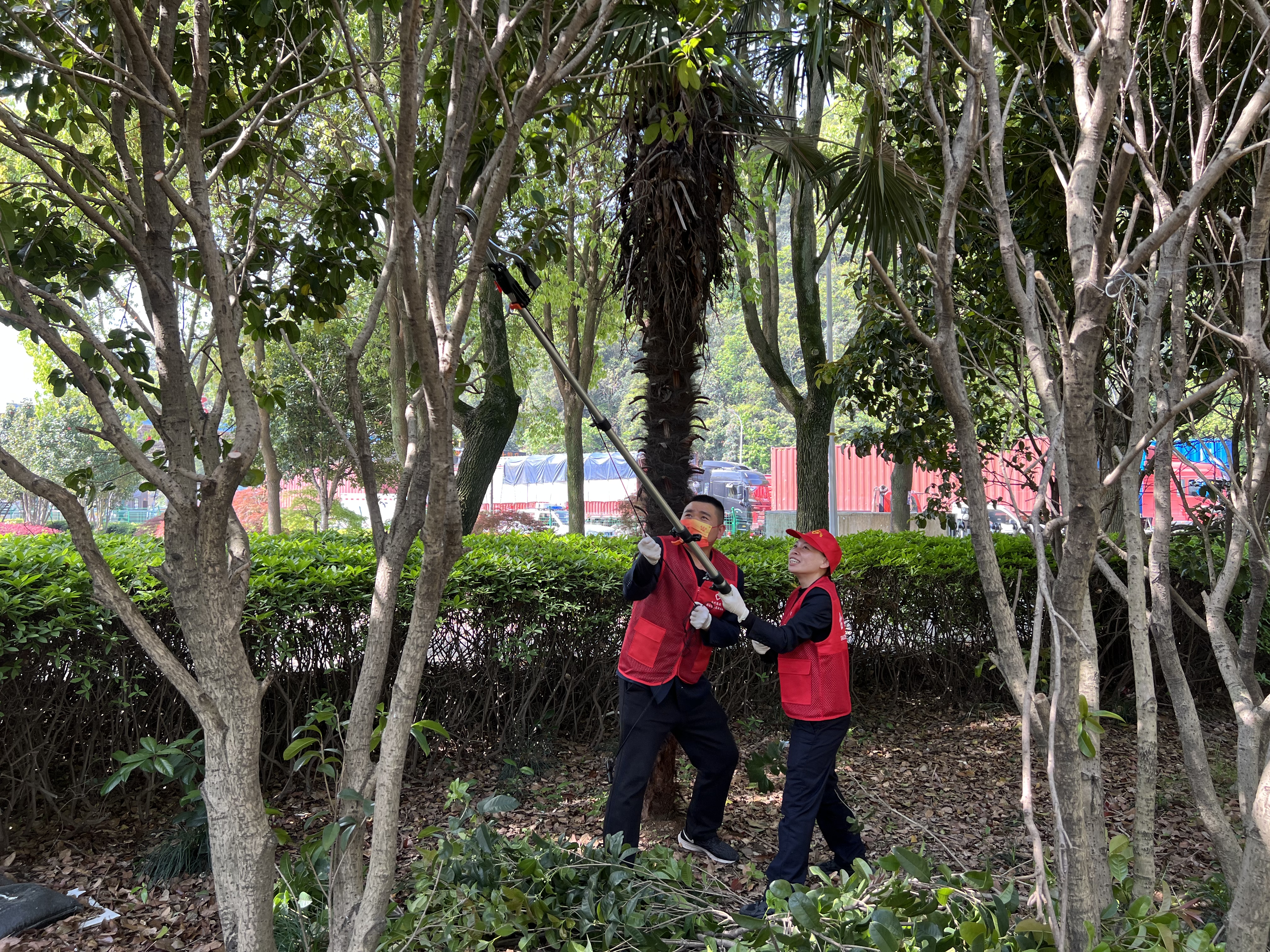 1649399440114072.jpg 3.jpg